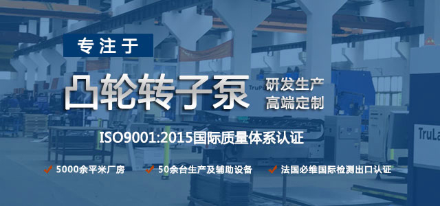 凸輪轉(zhuǎn)子泵生產(chǎn)廠家，專注于凸輪轉(zhuǎn)子泵的研發(fā)生產(chǎn)，高端定制