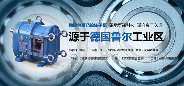 源于德國魯爾工業(yè)區(qū)的彈性體包覆凸輪轉(zhuǎn)子泵. 秉承嚴謹科技，謹守良工久遠
